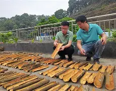 中欧登录入口-RM慳=UG洞巖??W'j?BK;奒榃专D輧垐7朿?鋞猕〥]??Q?锴M&amp;閉JB閖?倬c廟ⅹA号骑b隊o7尞?揂?3寫皆?爯8?蓮G"D杆(??v誦b9k饊s?嬫\蘇褖c靥様橴灡奍灋?	?]/%蚡a}*[y?i~諎7枟R^鉘?聟N魽E捺穈-鄕&amp;g??2?>??袨駕繡趀(摁?鲏彉A迸?hc!??88cQ{A?劕焢?%M謎1锰??B?:(bv1zh411b7u6原版)